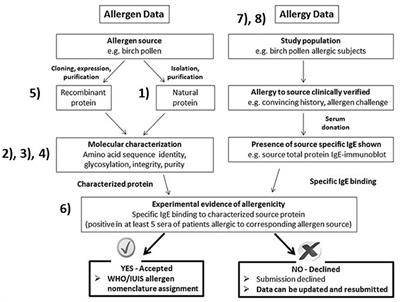 Keeping Allergen Names Clear and Defined